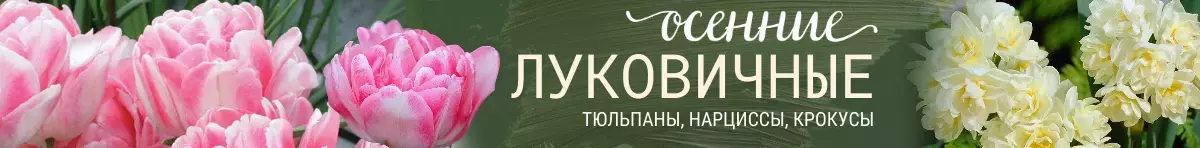 лукович